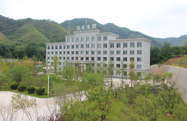 硼砂的用途有哪些？