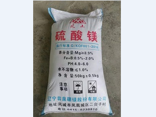 制取硫酸镁方式